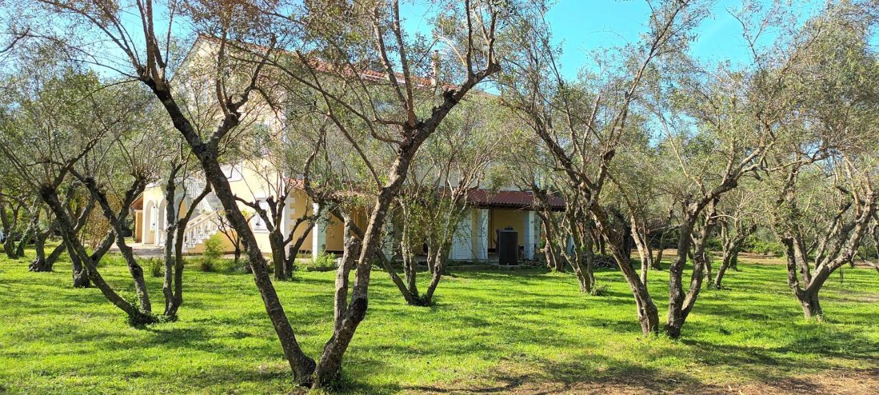 Antonios Olive Garden Acharavi Kerkyra Apartamento Exterior foto
